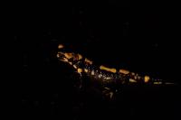 Salamandra salamandra