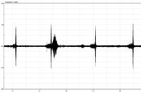 Cicadetta cantilatrix