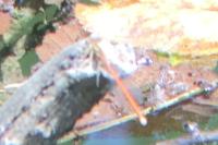 Platycnemis acutipennis