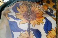 Cordulegaster boltonii