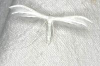 Pterophorus pentadactylus