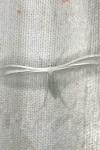 Pterophorus pentadactylus