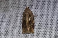 Archips xylosteana