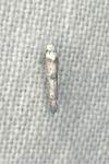 Paraswammerdamia albicapitella