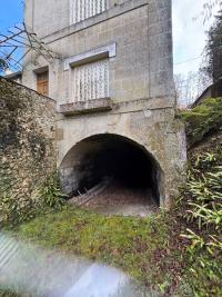 Murin de Daubenton
