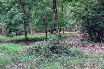Fauvette des jardins